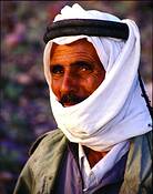 The Goat Herder by Joyce Solberg