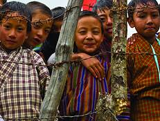 Behind the Fence by Rick Kattelmann