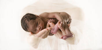 The Gift by Robert Thompson