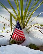 Winter's Flag by Alan Wood