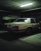 Winter by Alexander C. Kramer