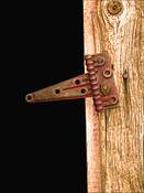 Shed Hinge by Allan Goodman