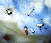 Six Butts by Allan Goodman