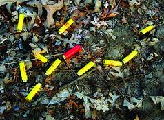 Spent Shells by Allan Goodman