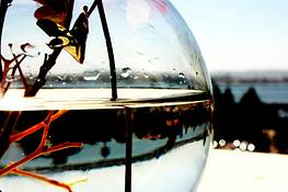 Pacific Rim by Annelise Day