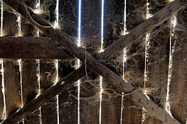 Gate by Beata Wolniewicz