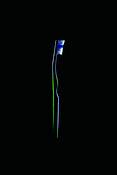 Tooth Brush by Brittany Hosea-Small