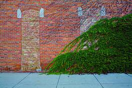 The Great Wave by Charles Larry