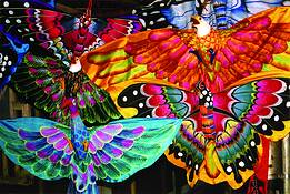 Kites by Clifford Baker