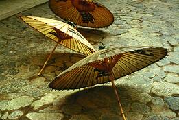 Umbrellas by Clifford Baker