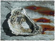 Persistence of Time by David E. Williamson