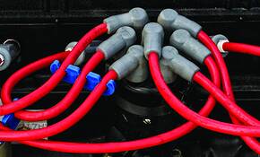 Feed Me by Dennis Fritsche