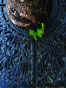 Sidewalk Survivor by Eugene Cheltenham