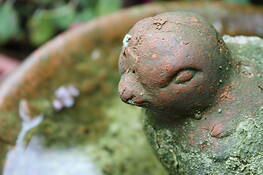 Bird in Autumn by Francine Douaihy