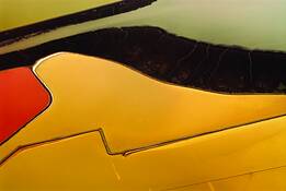 Salt Pond by Frank Revi