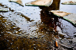 Hotel Ballroom by Hannah Dodson