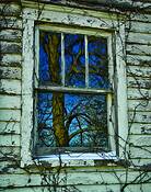 Reflection of a Winter's Day by Jane Vickers