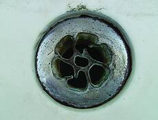 Drain by Jocelyn Jones