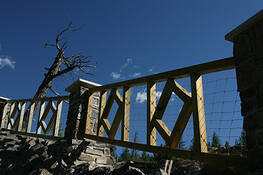 Untitled 4 by Larry Domino