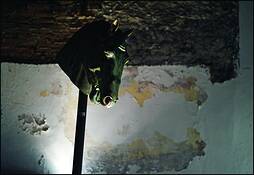 Sculpture by Larry Kincaid