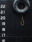 Enigmatic Comment by Lee Grossman