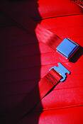 Seat Belt by Lemore Zausner