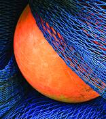 Crab Float by Linda Mann