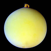 Balloon by Mary Woodman