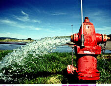 Red Hydrant by Matthew C. Miller