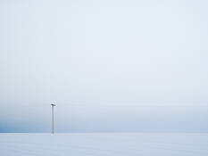 Winter by Matthew C. Miller