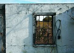 November Window by Max Sadtler