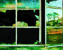 Reflection by Peter Ingresselino