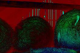 In Transition by Rachel Therrien