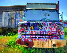 Gonzo Delivery by Ray Tatyrek