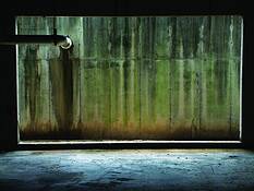 The Wall by Ronnie Conlin