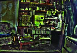 The Sisters Bait Shop by Rosemary Ahmnn