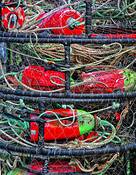 Crab Pots by Scott Hoyle