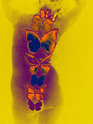 Sixtieth Year #3 by Arla Patch