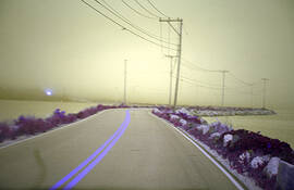 Causeway by Mary Woodman