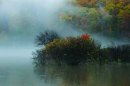 Softly Floating by Heide Castleman