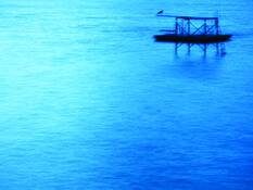 After Hours by Misha Gregory Macaw