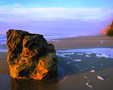 Winter Beach 2 by David Hibbard