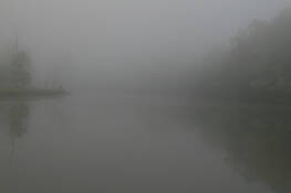 Untitled 1 Mouth of Wilson by Scott Webster