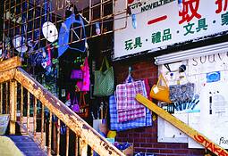 Novelty Shop by Scott Page