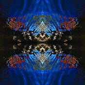 Water Reflections 3 by Alex Hoffmaister