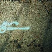 Untitled 4 by Izalia Roncallo