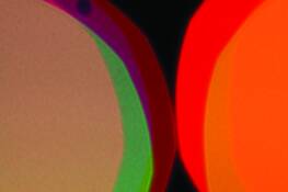 Beige Orange With Dot by Kathy B. Shapiro