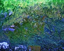 Specular Waters by Louis Montrose