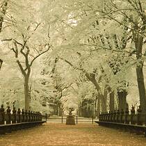 Infra Red