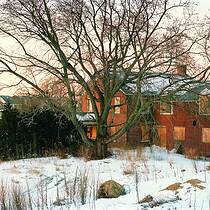Suburbia D